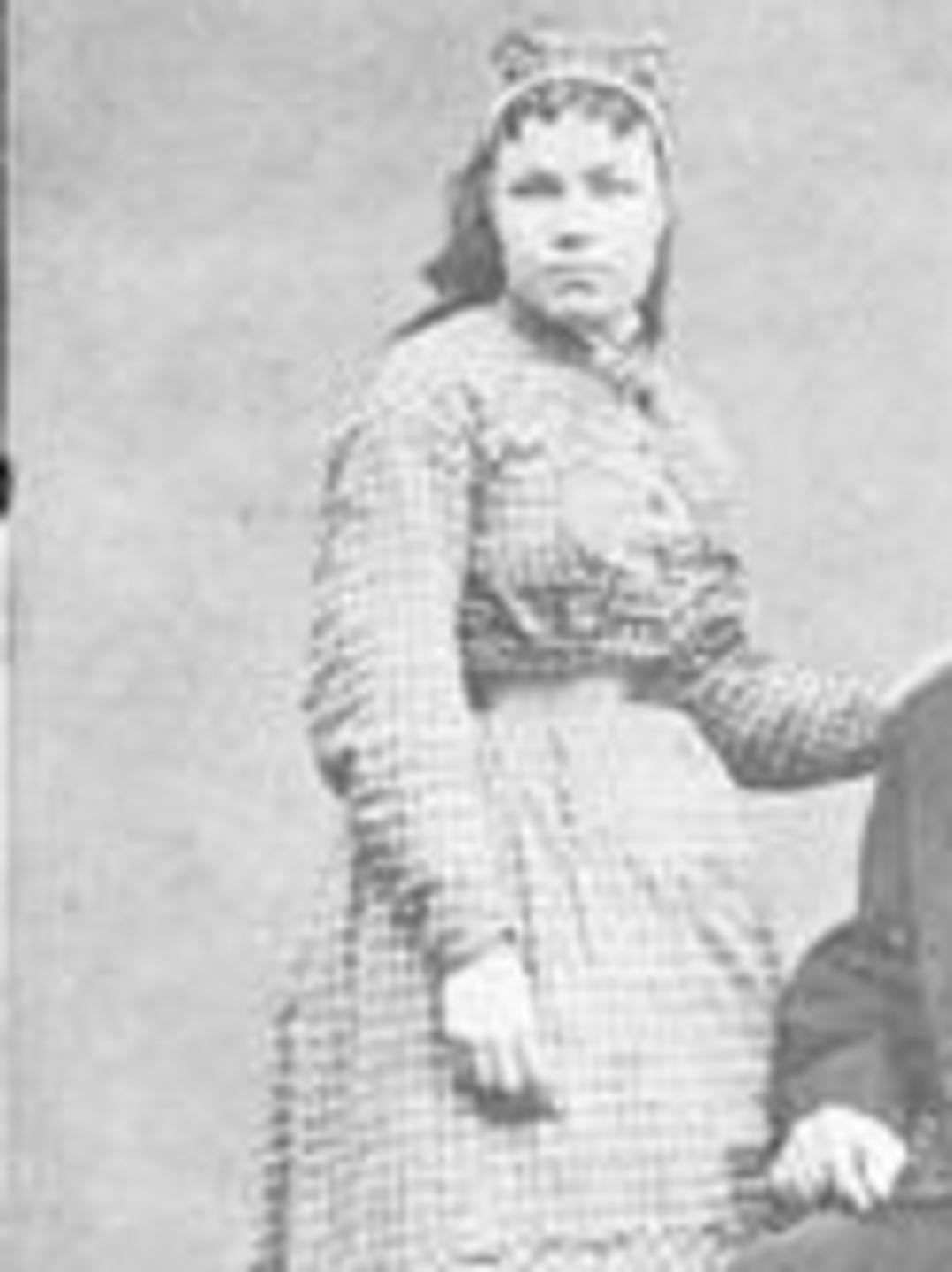 Clara Virtue Barnett (1857 - 1919) Profile